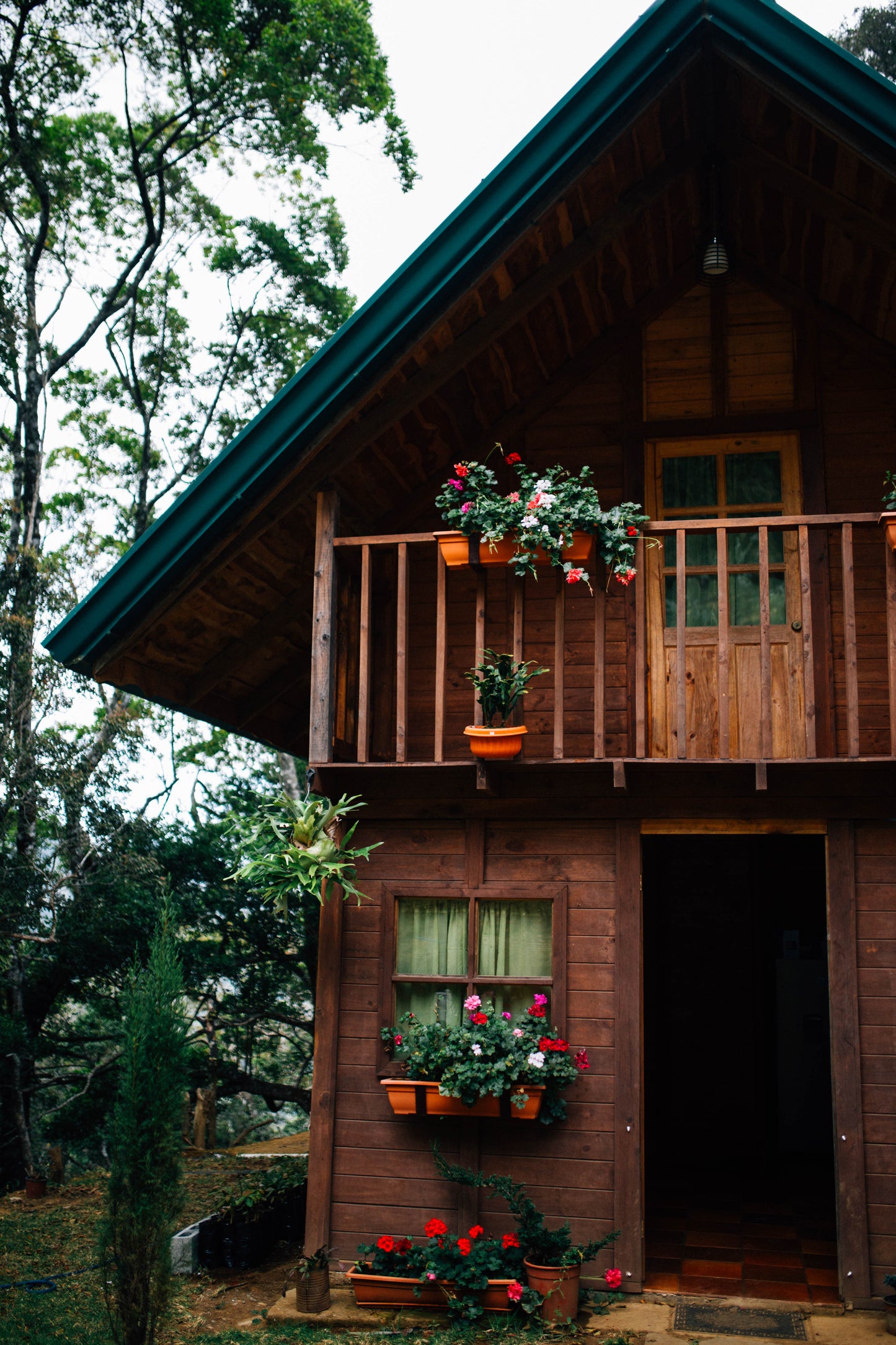 Filterkaffee Jorge Vásquez Catuai Natural von Paso Paso, farmergeführter Kaffee, in einer Tasse mit dunklem Roble-Negro-Kaffee.