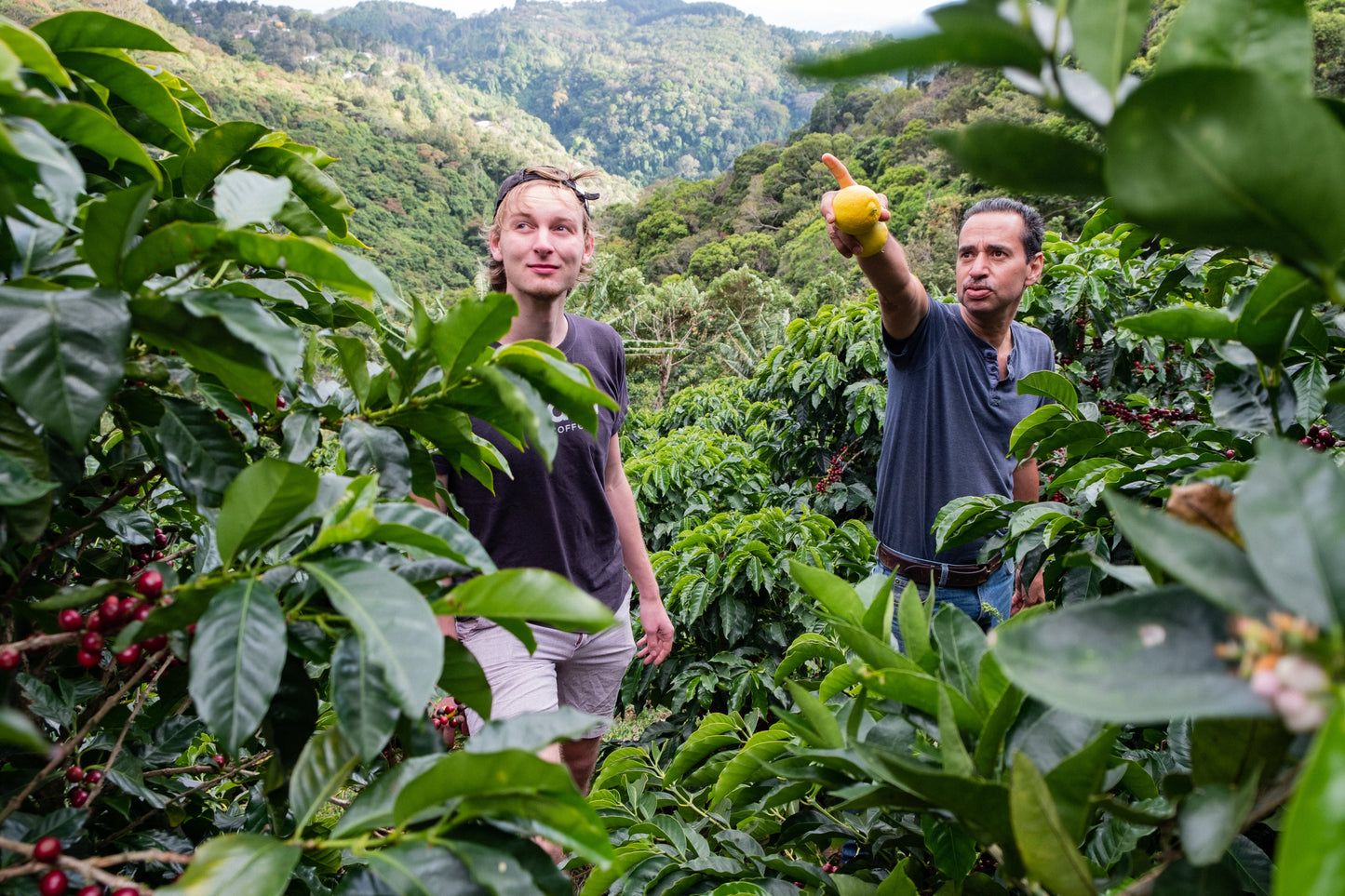 Filterkaffee Jorge Vásquez Catuai Natural von Paso Paso, frisch gebrüht, in einer Tasse mit Kaffeebohnen im Hintergrund