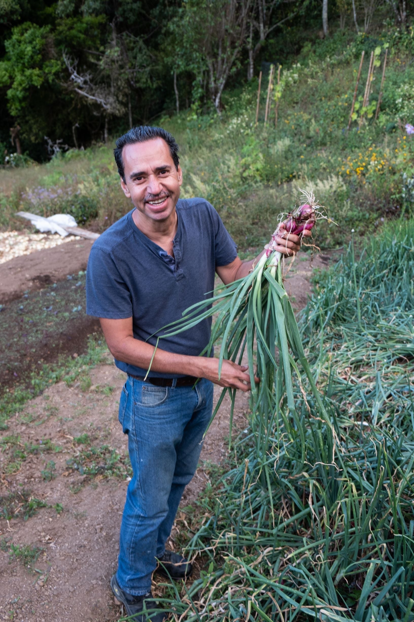 Frischer Filterkaffee von Jorge Vásquez, Catuai Natural, Paso Paso Farmer Owned Coffee, geerntet auf einer Kaffeefarm.